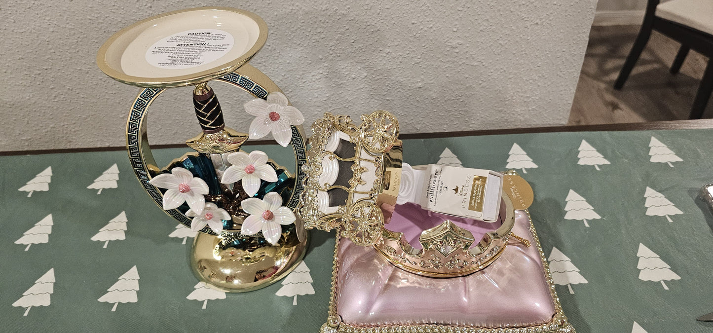Entrega Mariana