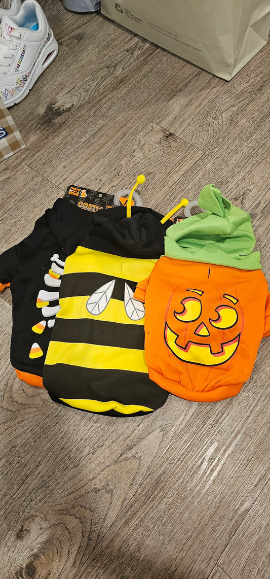 0731 Alejandra Tamayo + envio