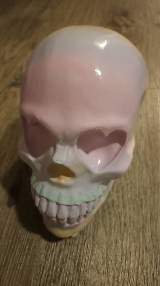 0703 Laura Morales + envio