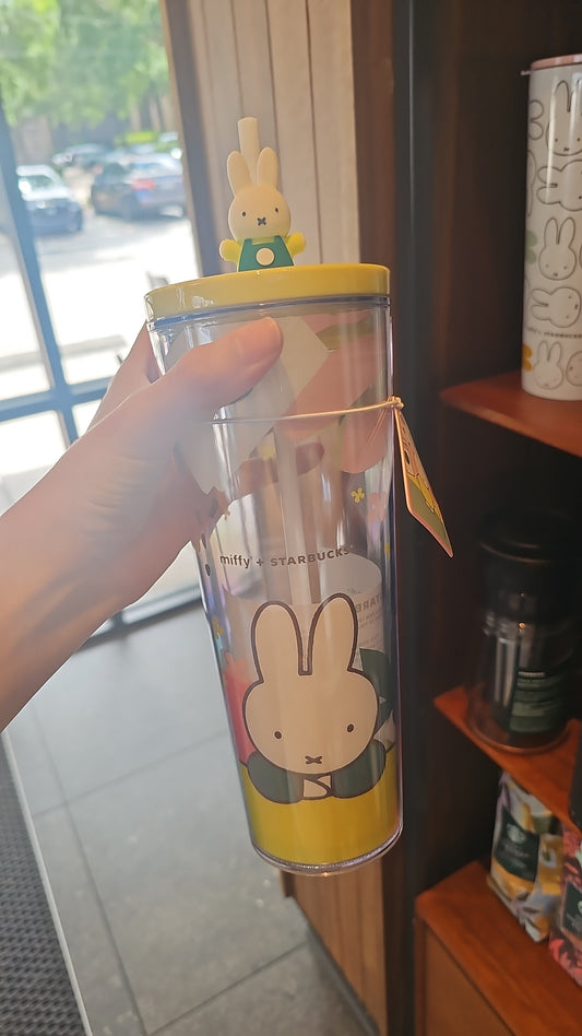 Vaso miffy apartado