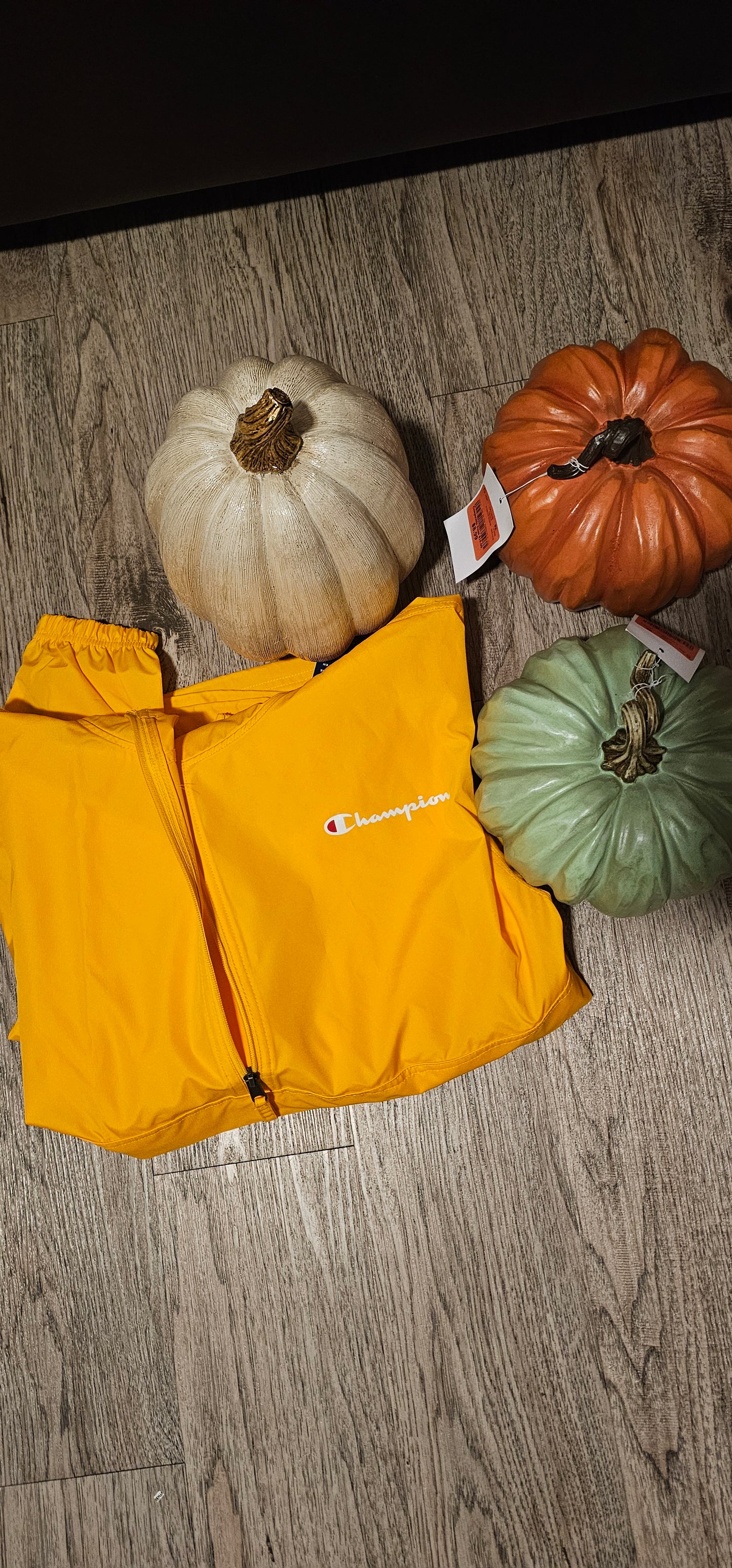 0804 Berenice Patricia