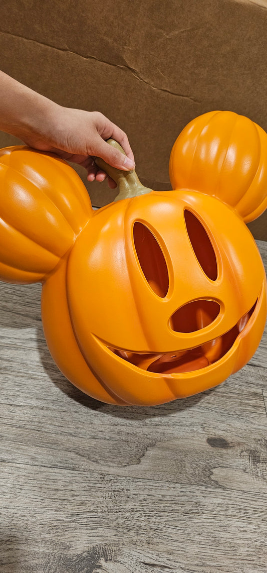 0813 adriana + envio