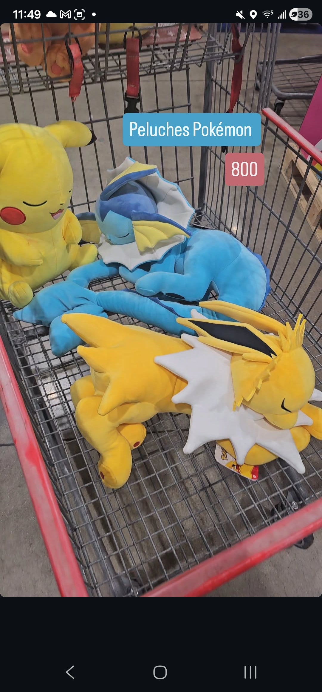 Peluche pokemon apartado