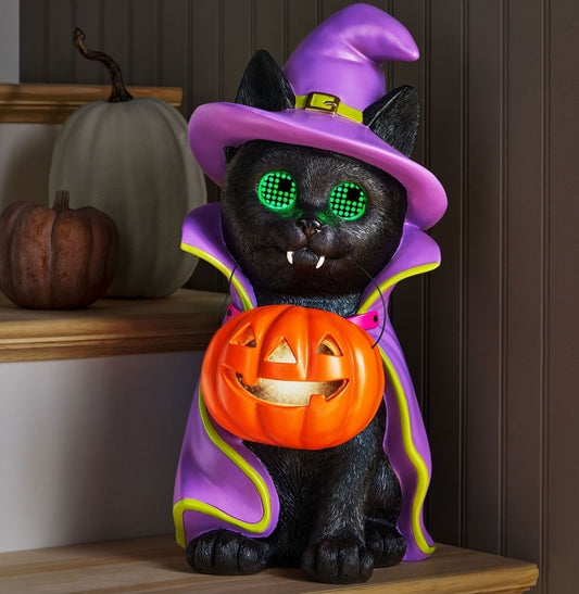 Halloween decor gato bruja