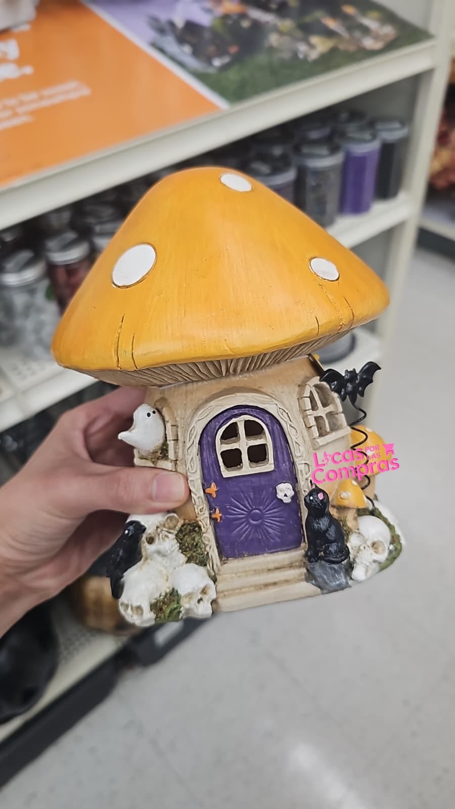 Casa de Hongo