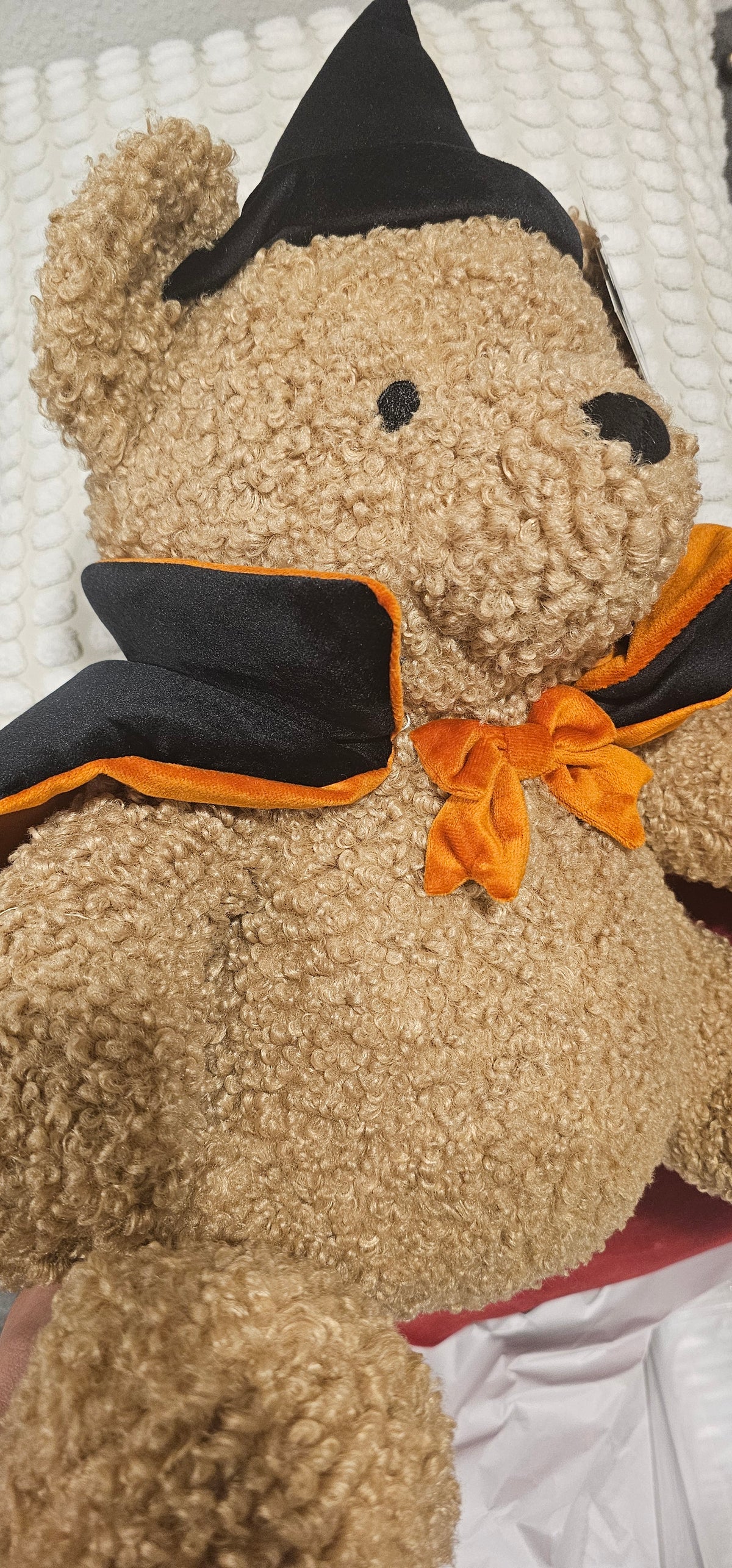 Oso Halloween